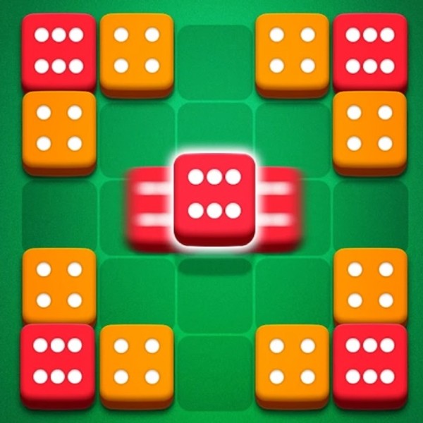 Dice Puzzle