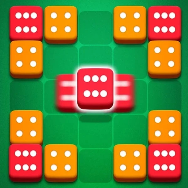 Dice Puzzle